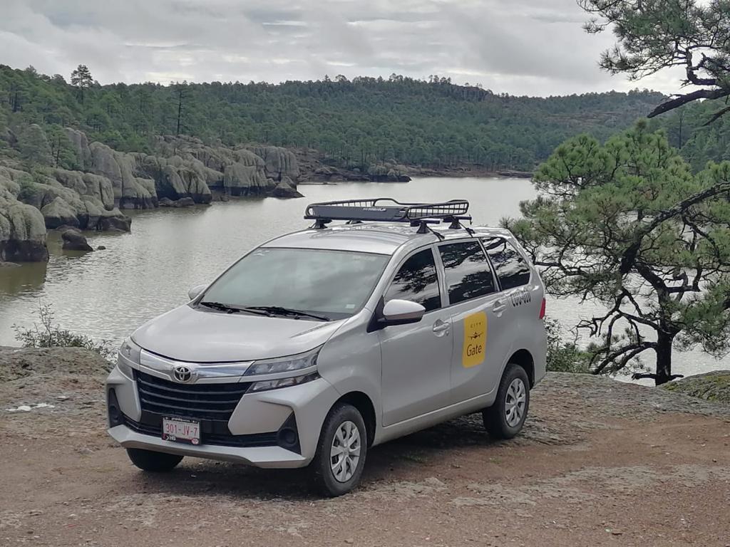 Avanza 2021